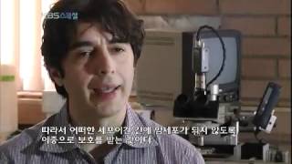 KBS스페셜 - KBS Special 20120617 # 006