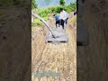 土の裂け目に命を流し込め:一本の送管が溝を潤す水路へ生まれ変わらせる時