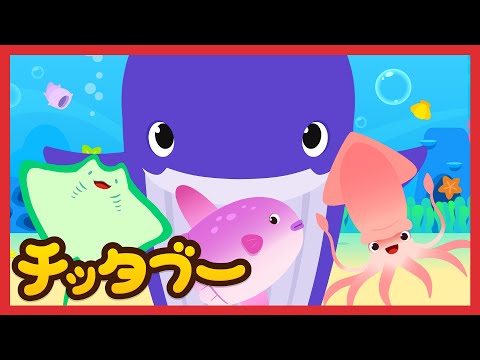 いちばんおおきい うみのいきもの(Super Ultra Sea Animals) | 海の