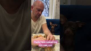 Душевно Лопаем Креветки На Пару С Другом)