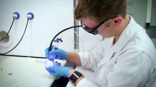 Cartilage Regeneration: An ACES/ANFF case study