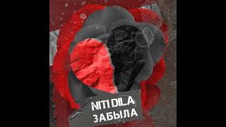NITI DILA | Забыла (Музыка Mix)