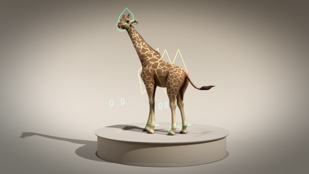 CG giraffe breakdown