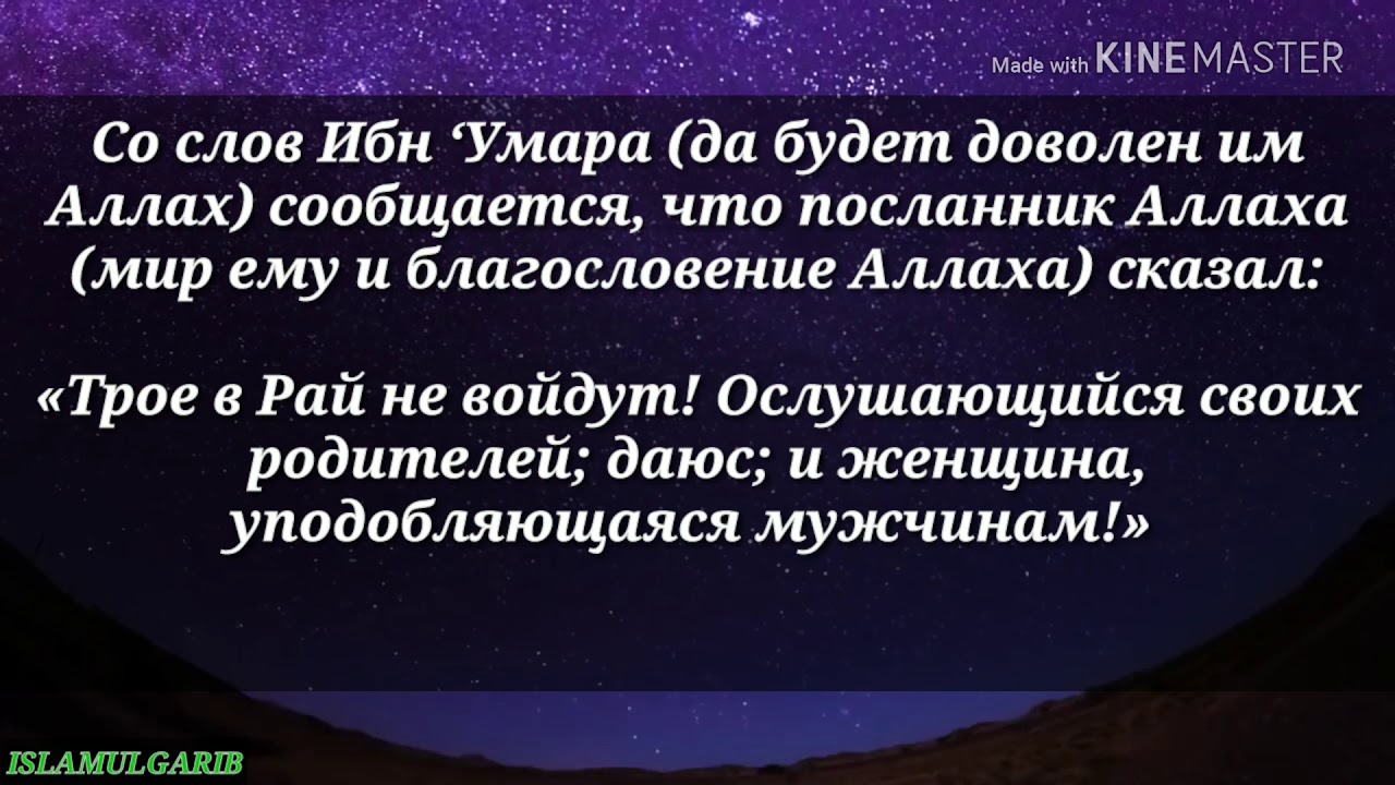 Даюс это в исламе
