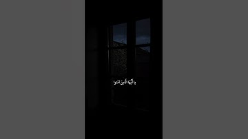 سورة الاحزاب أية 56 أكتب شيء تؤجر عليه