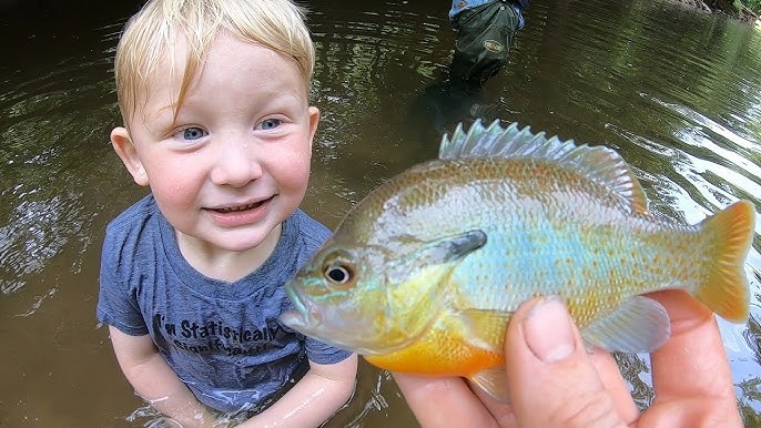 Best bluegill bait - Slim Jims! Catch tons of bream. 