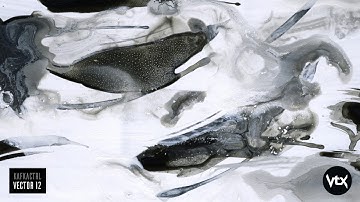 KafkaCtrl - Vector 12