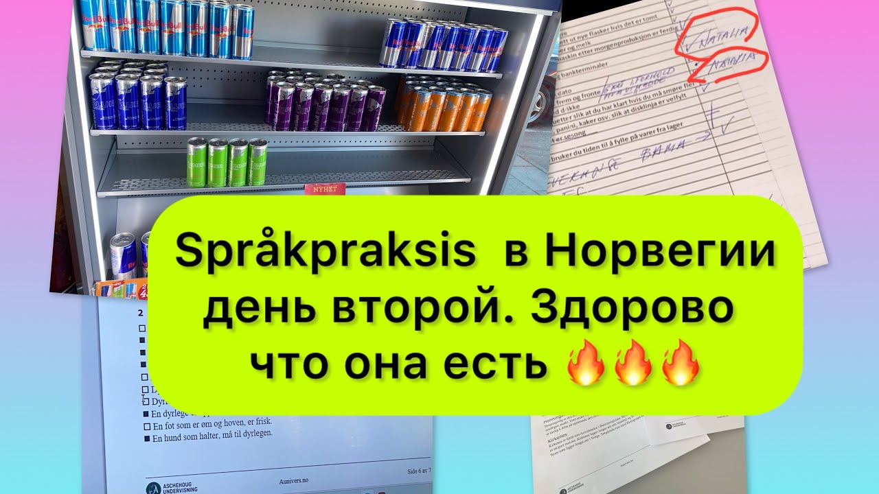 Языковая практика в Норвегии, день второй. Что делают на языковой ...