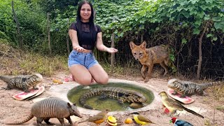 A BRIGA DOS ANIMAIS DA CAATINGA PARA MATAR A FOME!😱E VIERAM TODOS!!😱😱