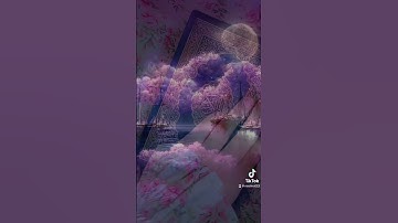 قران كريم حالات واتساب تيك توك دينيه