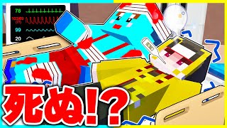 【サヨウナラ...】けなそゆ兄弟が死にます...【まいくら/マインクラフト】まとめ動画