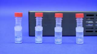 Efficient and Effective Mixing In Thomson HPLC Filter Vials