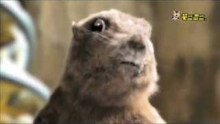 Dramatic Chipmunk Escapes Prison!