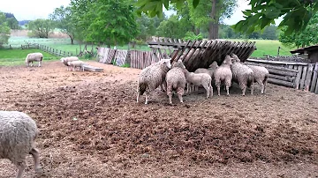 Je potrebné poradiť materiál podľa funkcie chodníka?