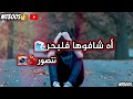    2020 أه شافوها فلبحر تتصور ر    