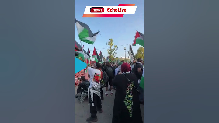 Police clash with protesters who breached DNC security perimeter | gaza protests