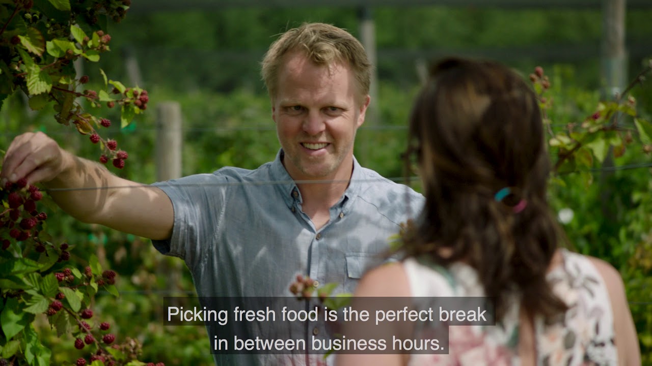 food forest- voedselbos