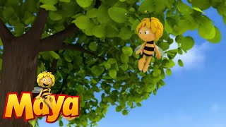 On With The Show  - Maya the Bee - Episode 59