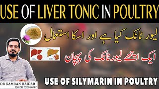 Use of Liver Tonic In Poultry | Properties of A Good Liver Tonic | Role of Silymarin In Liver Issues screenshot 5
