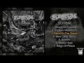 Subscum  schism mc full ep 2024  grindcore