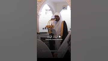 هيهات هيهات لما توعدون 🍃 سورة المؤمنين بصوت الشيخ ياسر الدوسري 🍃 Surah Al Mu'minun Yasser Al Dosari