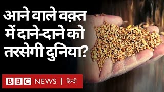 Food Shortage: दुनिया में खाद्य संकट बढ़ने का ख़तरा (BBC Hindi)