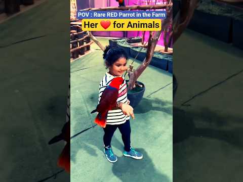 You Won't Believe This Parrot's Color! by Manu Rio TV