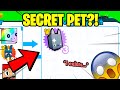 OMG! 😲 GOT NEW SECRET PET... SUPER EASY! (Pet Simulator X)