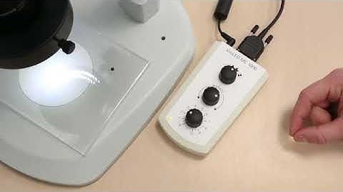 Source de lumière VisiLED Schott