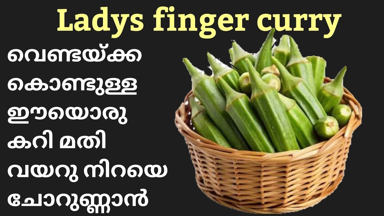 Vendakka curry recipe/ചോറ് പാത്രം പെട്ടെന്ന് കാലിയാകും കറി ഇങ്ങനെ ഉണ്ടാക്കിയാൽ/Okra recipes