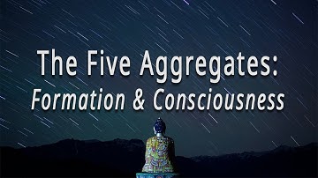 The Five Aggregates: Formation & Consciousness by Joseph Goldstein