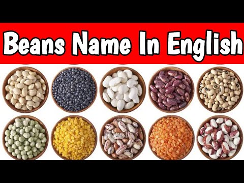 Video: Varieties and types of beans. Photo and description