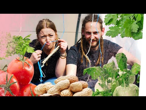 gärtnern-im-april--to-do´s-für-eine-gute-ernte