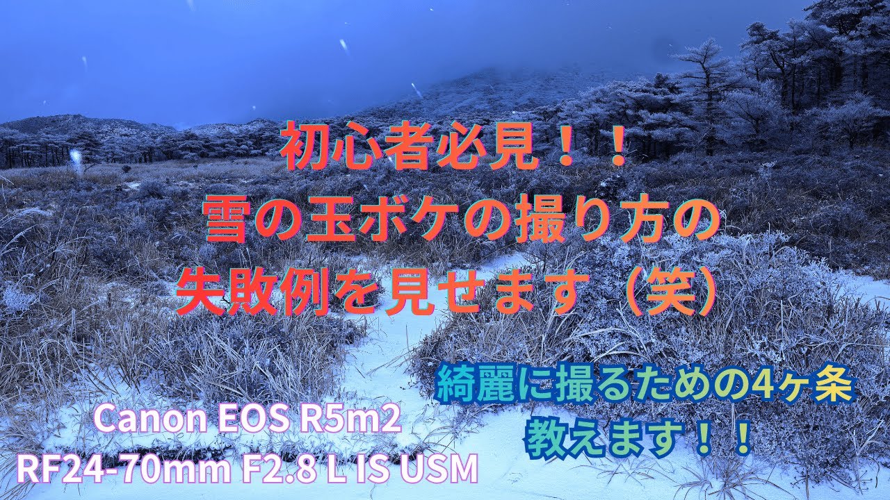 初心者必見!!雪の玉ボケの撮り方の失敗例を見せます（笑）『POV』R5Mark２