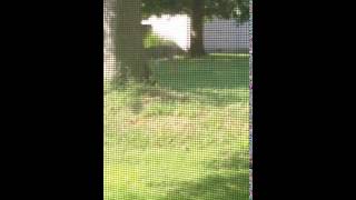 IMG 6148