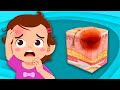 Discover How Bruises Happen! | Human Body Songs For Kids. | KLT Anatomy