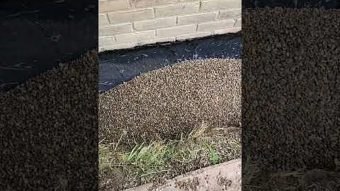 basement waterproofing gravel backfill