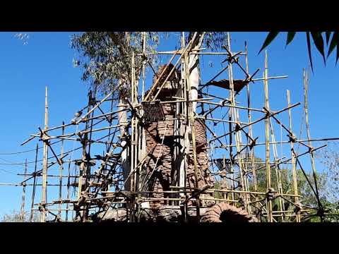Siamangs Vocalization Disney's Animal Kingdom shorts