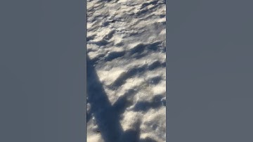 The last video in your camera roll fits with this song?😂