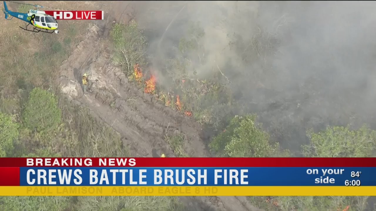 Crews battle brush fire in Plant City - YouTube
