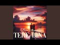 Tere bina