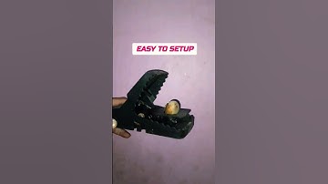 Mouse Trap / Easy To Use Mouse Catcher #mousetrap #rattrap