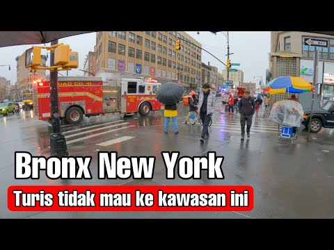 Video: 5 Museum yang Layak Dikunjungi di Bronx