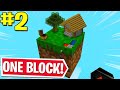 Minecraft SkyBlock, But You Only Get ONE Block (#2)
