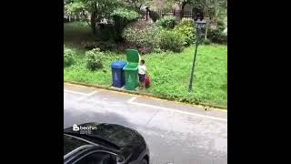 Маленький мусорщик