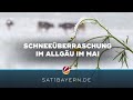 Wintereinbruch im Mai: Schnee überrascht im Allgäu