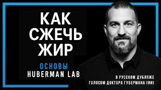 картинка: Как жечь жир — Научные основы жиросжигания от Доктора Эндрю Губермана