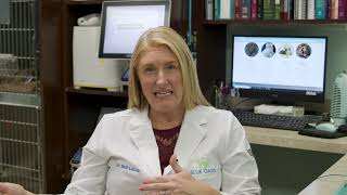Celebrity Cat Vaccinations FAQ 2of3 Profile