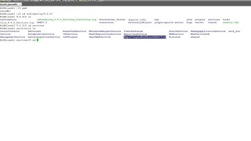 How to Find Version of Jasperserver installed with Informatica PowerCenter for ReportingandDashBoard