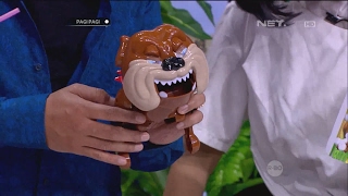 Mainan Anjing Seru Sambil Melatih Kesabaran